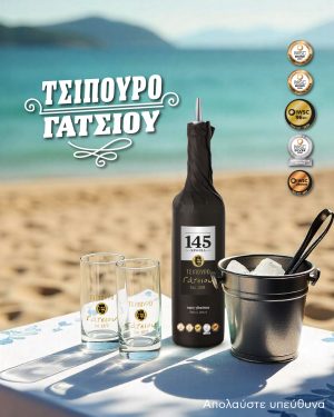 Gatsios_Website_Social_1080x1350px_15